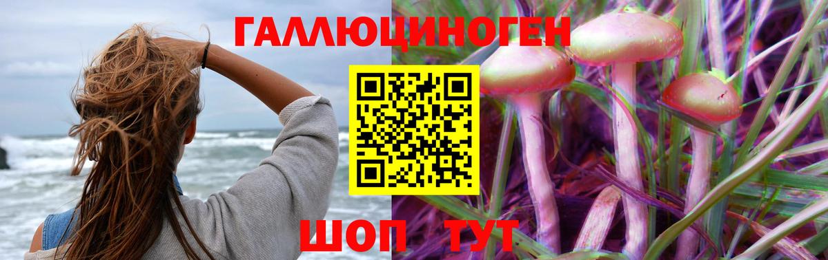 Арсеньев  где купить наркоту  Вход с VPN  Псилоцибиновые грибы Cubensis 